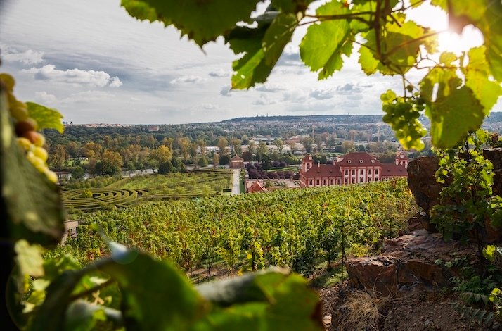 Panoramic view of Prague’s stunning skyline as seen from St. Claire’s Vineyard.