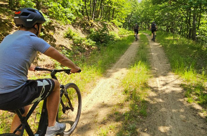 Bikers follow a winding dirt trail through a sun-dappled forest on a beautiful day.
