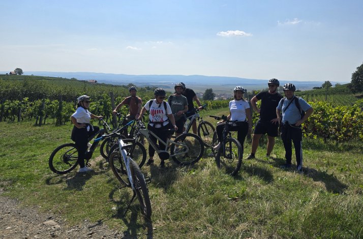 A group of cyclists takes a sunny break on a grassy hillside overlooking a lush vineyard and rolling landscape.