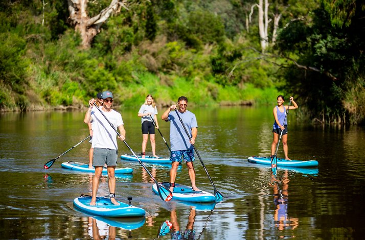 Group paddleboarding together on a tranquil river, surrounded by lush greenery at the Mornington Peninsula, Australia.