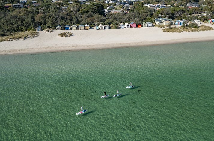 Four paddleboarders gliding on clear water near colorful beach huts.