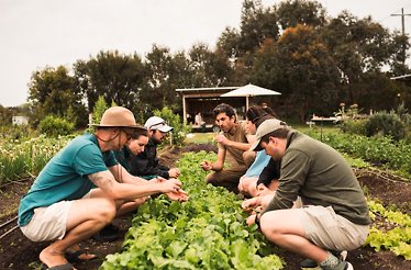Group of people learning about plants in a lush garden setting.