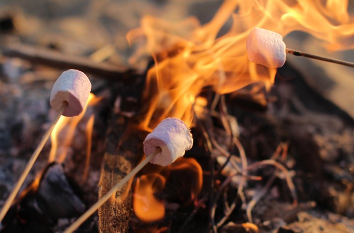 Marshmallows being toasted over a firepit.