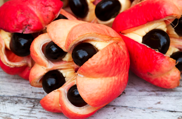 Open ackee fruit showing black seeds and creamy yellow flesh, Jamaica’s national fruit.
