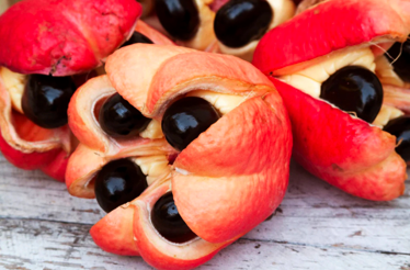 Open ackee fruit showing black seeds and creamy yellow flesh, Jamaica’s national fruit.