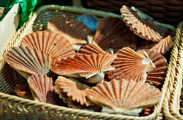 Raw seafood delicacies