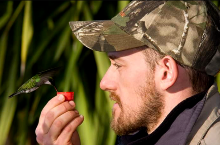 Hummingbird drinks from a small red container held by a person in camouflage.