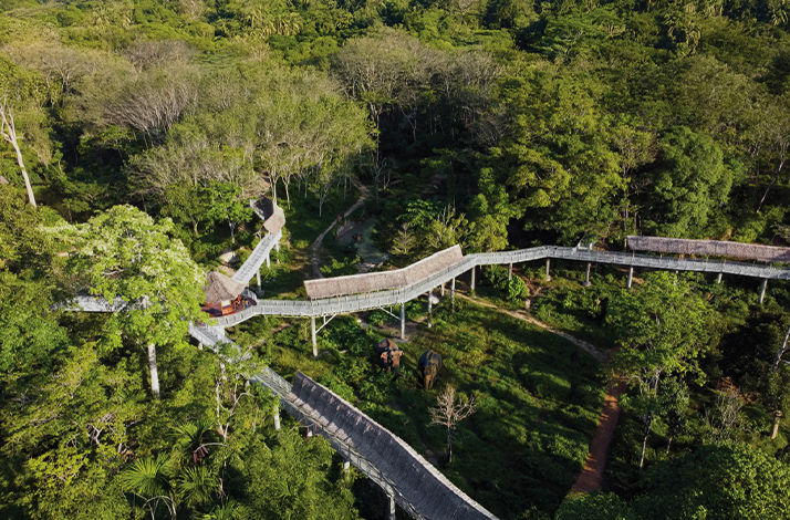 Thailand's longest canopy walkway at Phuket Elephant Sanctuary
