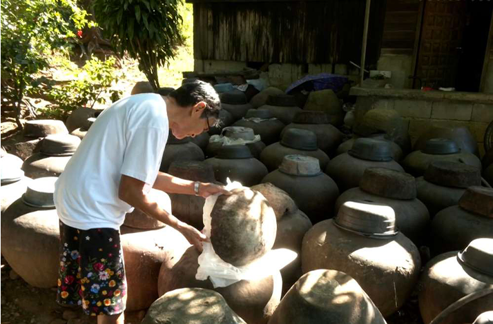 Inspecting traditional clay jars for sugarcane vinegar fermentation.