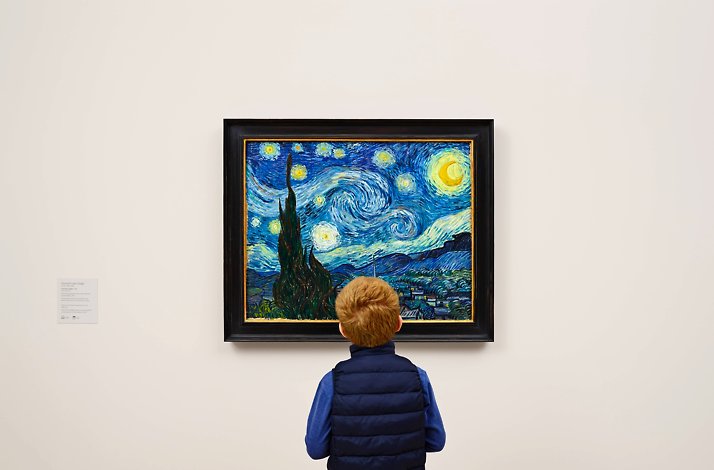 A boy is looking on the Van Gogh painting Starry night at  The Museum of Modern Art (MoMA)