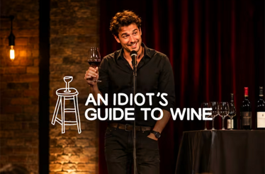 Promotional banner for An Idiot’s Guide to Wine.