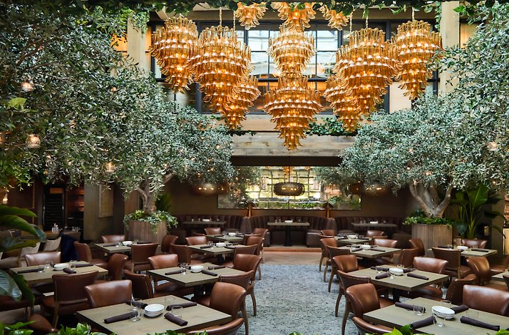 Aba Nashville Reservations: In Nashville, Tennessee (1)