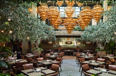 Aba Nashville Reservations