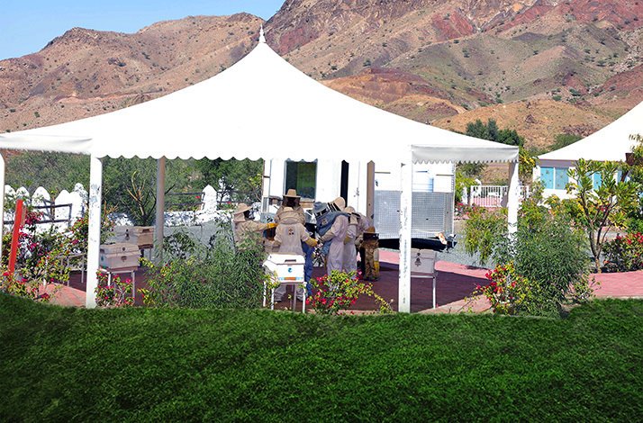 Participants in the garden of Hatta Honeybee Garden for workshop.