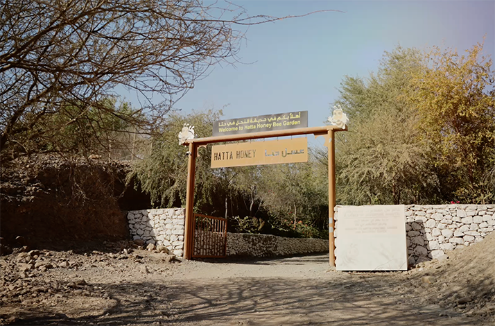 The entrance arch of Hatta Honeybee Garden & Discovery Center.