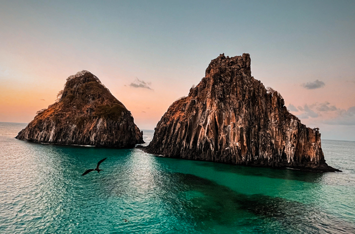 Two iconic sea stacks rise from emerald waters at sunset, with a bird flying by.