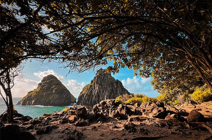 Twin rocky islets viewed through a frame of trees and rugged shoreline.