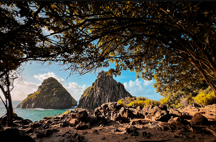 Twin rocky islets viewed through a frame of trees and rugged shoreline.