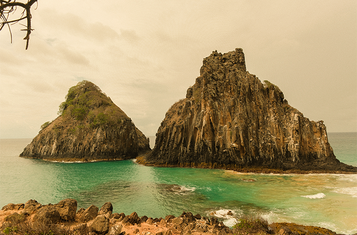Two iconic sea stacks rise from emerald waters at sunset, with a bird flying by.