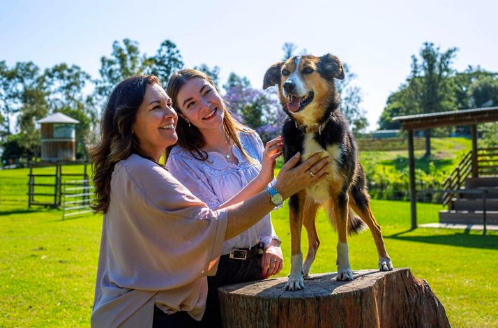Guests petting a sheepdog during a guided wildlife encounter at Lone Pine.