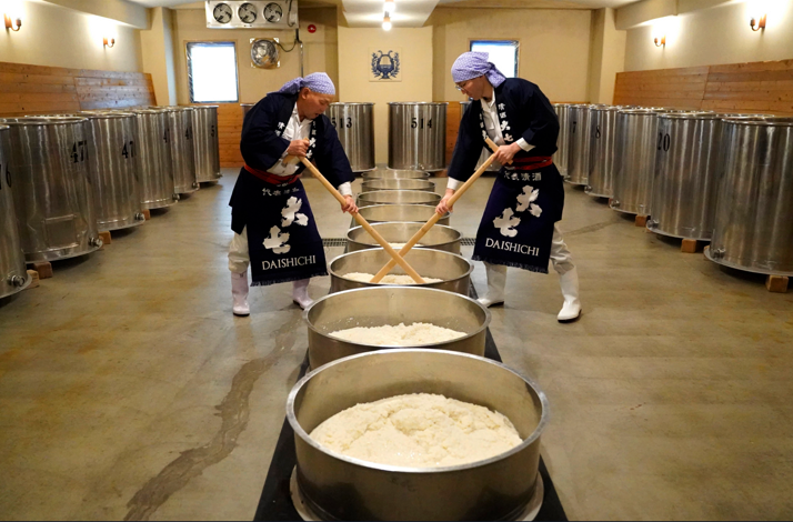 Traditional Daishichi sake brewing process at the Fukushima brewery using the kimoto method.