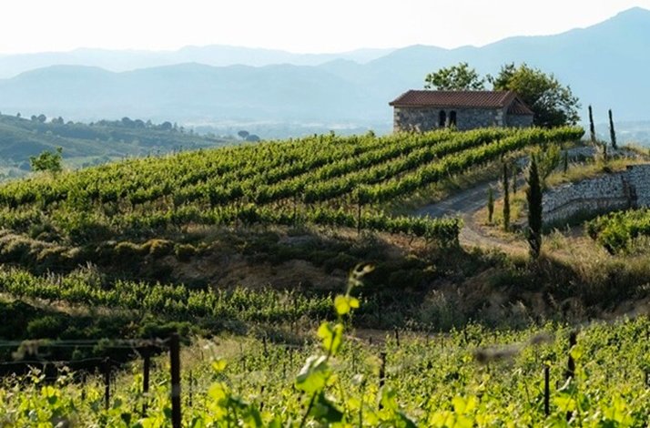 View at the hills of Arcadia vineyards with a stone building on top.