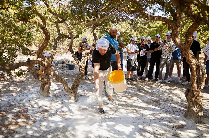 Visitors gaining insight into traditional harvesting techniques of mastiha.