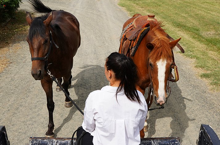 Horseback riding at Origine Country Farm, Tabiano, Parma countryside.