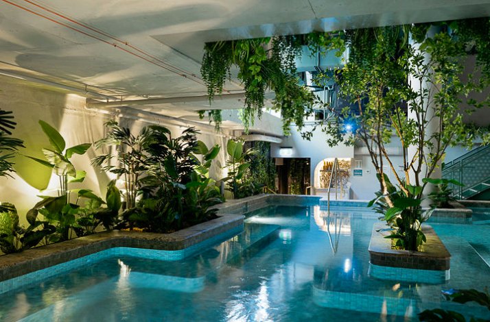 Sunlit indoor pool with plants and stone walls.