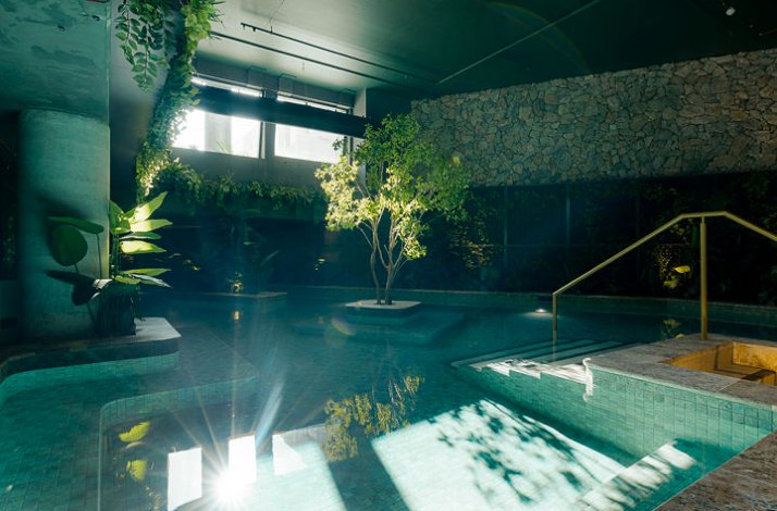 Indoor thermal pool surrounded by lush greenery.