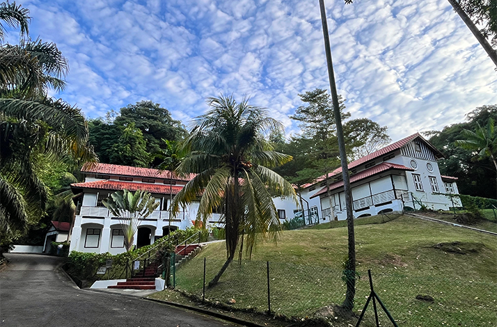 Closeup of the Black and White homes on Pender Road Singapore.