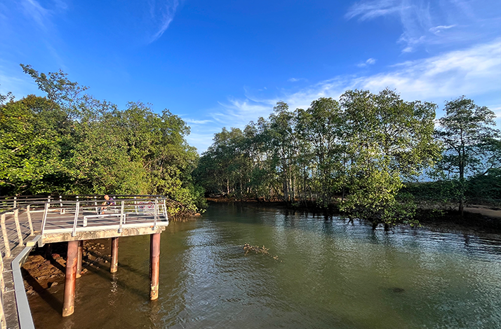 A wooden walkway stretches over a river, surrounded by trees under a clear blue sky.