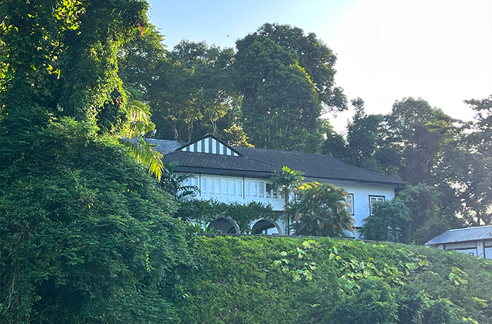 Closeup of the Black and White homes on Pender Road Singapore.