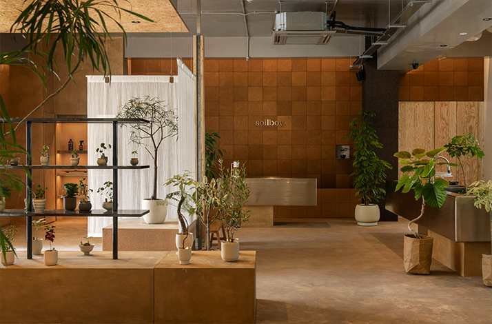 Soilboy's New Bahru studio interior with plants and ceramics.