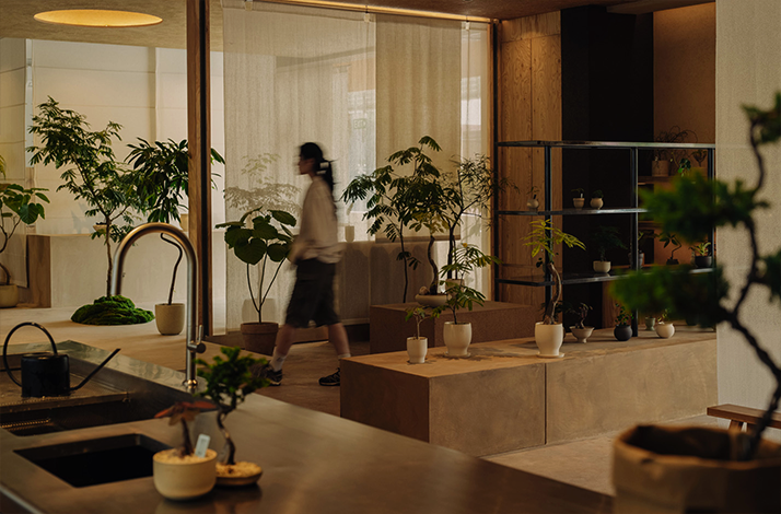 Soilboy's New Bahru studio interior with plants and ceramic pots.