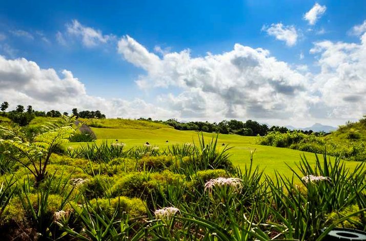 Landscape at Avalon Golf Estate.