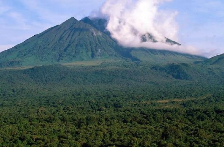 View on Volcanoes National Park in Uganda
