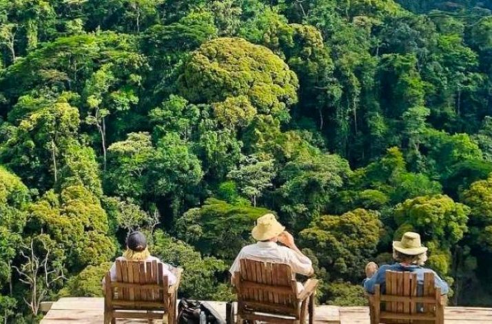 Visitors relaxing on a wooden deck overlooking the dense canopy of Bwindi Impenetrable National Park.