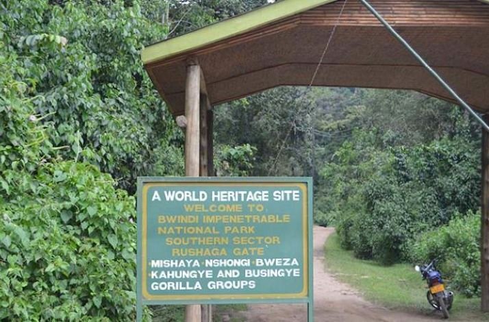 Entrance to the Bwindi Impenetrable National Park in Uganda.