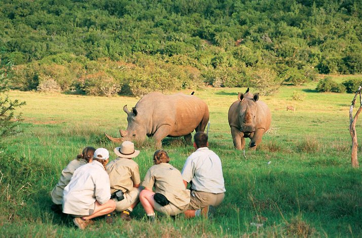 A group of tourists watching rhinos in Matobo Hills (Zimbabwe)
