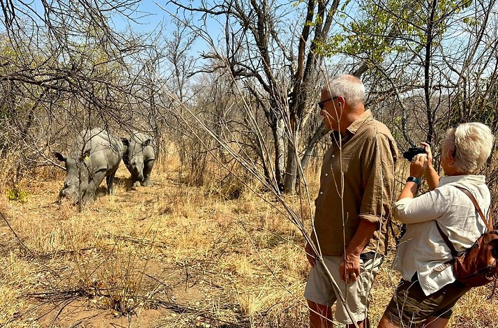 Tourists taking photos of rhinos in the natural habitat of  Matobo Hills in Zimbabwe