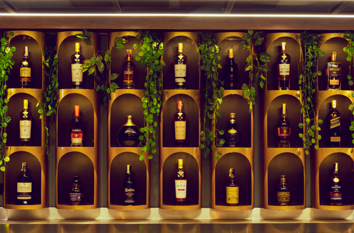 Illuminated shelving with a collection of whisky bottles from different countries, decorated with plants.