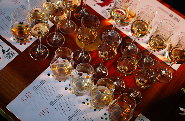 Overhead view of a guided blind whisky tasting with multiple Glencairn glasses arranged on tasting mats at Spirit Rooms in La Condesa, Mexico City.