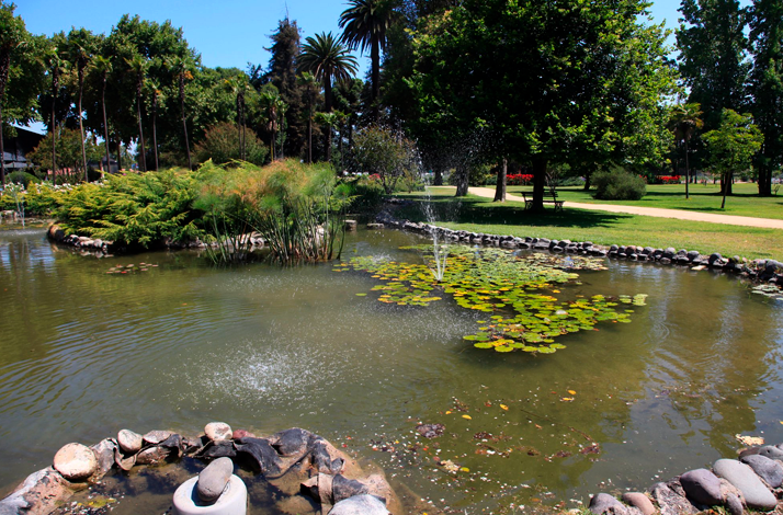Heritage gardens designed by George Henry Dubois at Viña Undurraga.