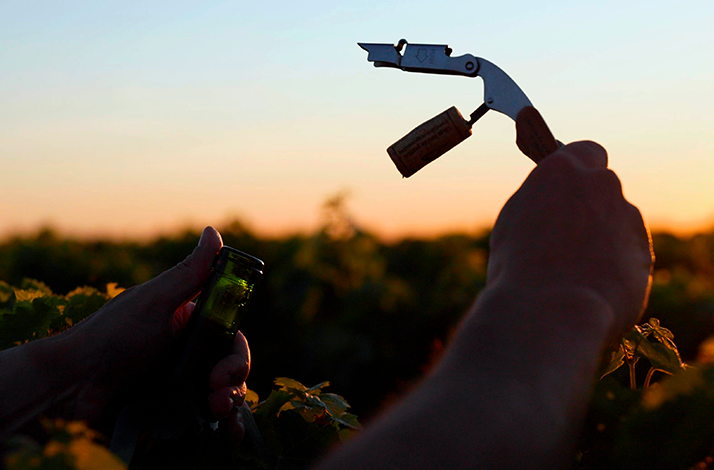Wine bottle being sealed in a vineyard, highlighting the hands-on winemaking experience