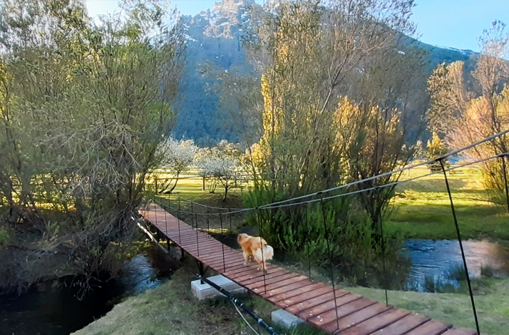 Wooden bridge crossing a clear stream during the Trek Signature D'Agostini walk
