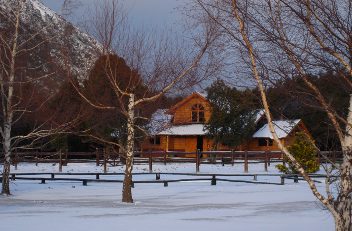 Snow‑covered eco‑lodge nestled among bare trees, showcasing the forest's quiet beauty across seasons.