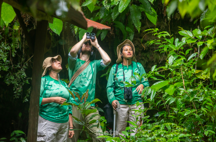 Three people in the forest sightseeing the birds