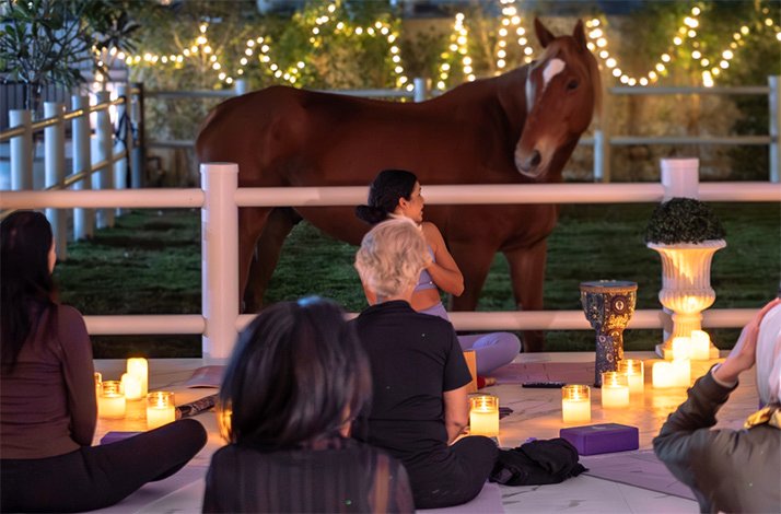 Night guided meditation and yoga session depicting horses, led by Dubai wellness expert Reem Tahoun.
