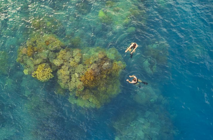 Snorkelling over coral reef in the Whitsundays.